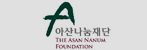 assa nanum foundation