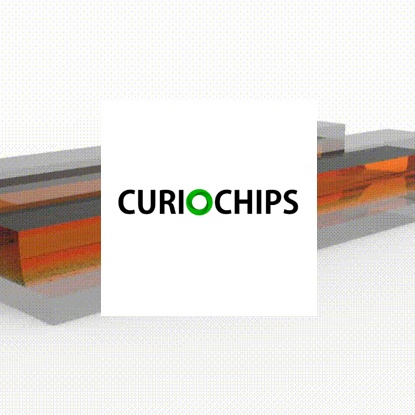 curiochips